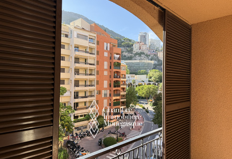 2 pièces a Fontvieille