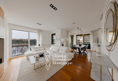 MAGNIFICENT 3 ROOM APARTMENT ON THE PORT OF MONACO