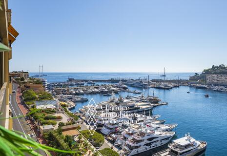 Vista Gran Premio di F1 | Trilocale | Port Hercule