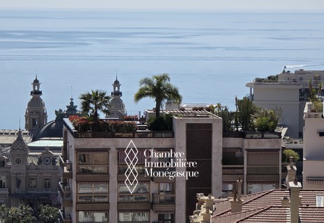 MAGNIFIQUE APPARTEMENT BOURGEOIS EN PENTHOUSE VUE MER