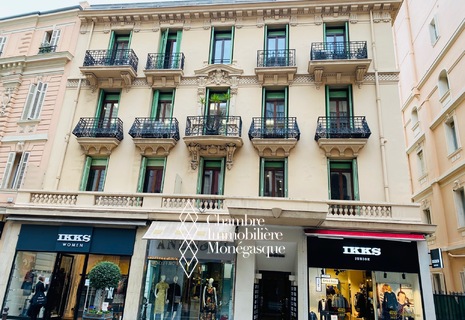 Boulevard des Moulins – Affascinante appartamento con due stanze e balcone – Uso misto