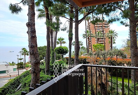 PARC SAINT ROMAN - 3 ROOMS DUPLEX