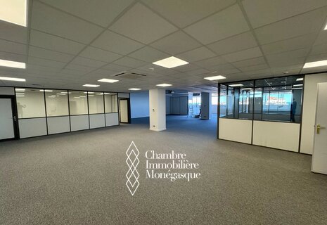 Spacious 293 m²  new office space for Rent in Monaco Center