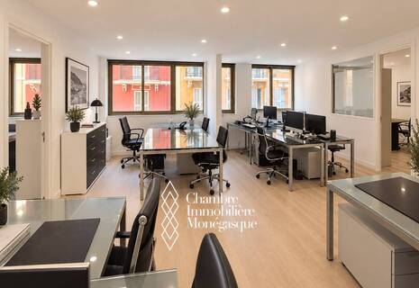 SPACIOUS OFFICES –  LA FELOUQUE, MONACO