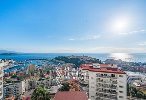 Superbe duplex avec vue mer panoramique