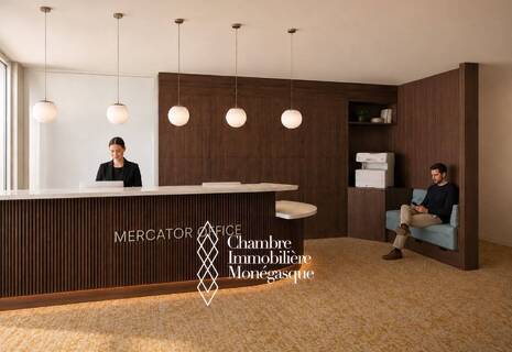 BUREAUX PRIVATIFS – MERCATOR OFFICE, FONTVIEILLE
