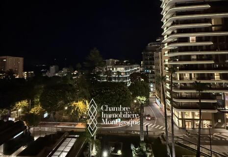 PARK PALACE - FULLY RENOVATED 2-BED