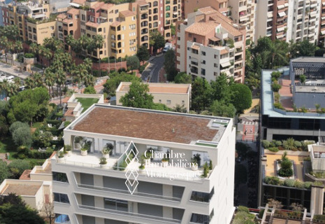 Ideal apartment for a family