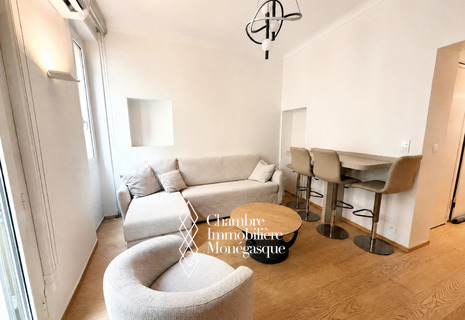 3 ROOM APARTMENT CROSSING MONACO CITY
