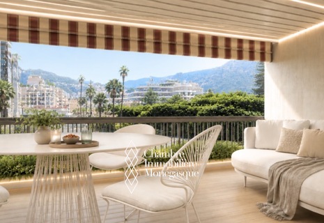 MAGNIFIQUE APPARTEMENT RÉNOVÉ DANS LE CENTRE