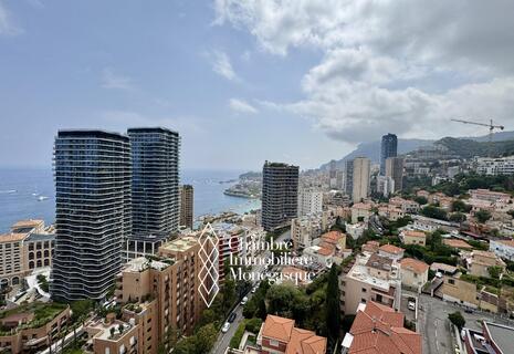 2 pièces avec vue sur Monaco