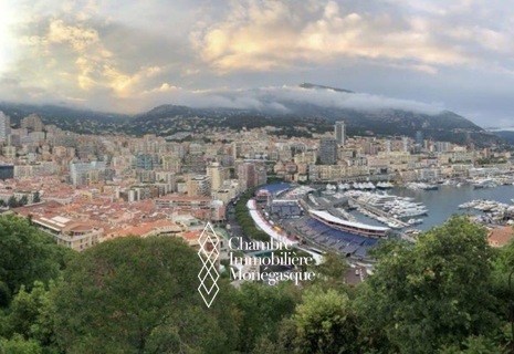 DUPLEX VUE PANORAMIQUE PORT ET MER - MONACO VILLE
