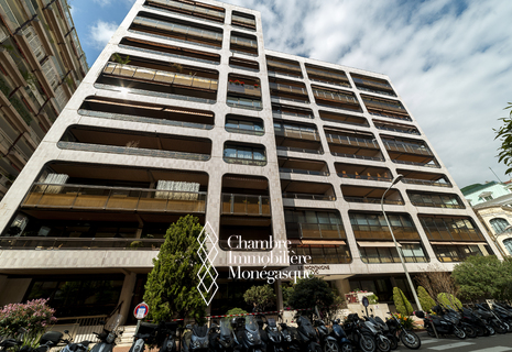 MONTAIGNE : PARKING A LA VENTE