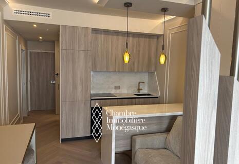 STUDIO MEUBLE - LA ROUSSE - ST ROMAN