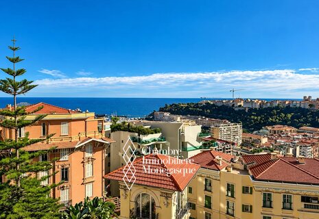 PALAIS BOSIO – ÉLÉGANT APPARTEMENT BOURGEOIS DE 219 M² – VUE PAN