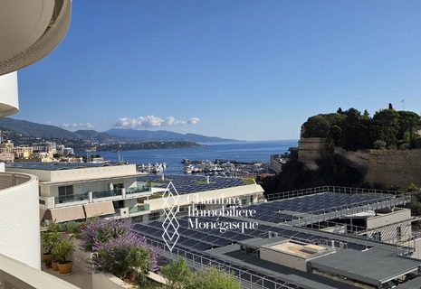 3 PIECES DANS LE NEUF AVEC VUE ROCHER PORT HERCULE ET FONTVIEILLE