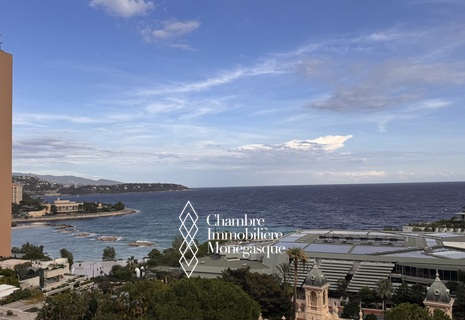 3 pièces avec vue mer panoramique