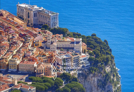 CHARMING STUDIO ON THE ROCK OF MONACO