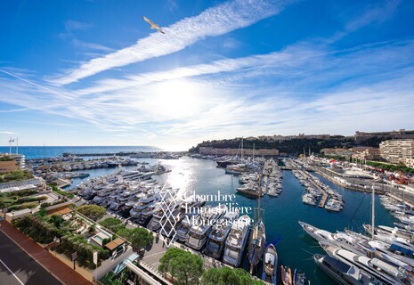 Beau Rivage - Superb 3 room apartment with a view of the F1 circuit