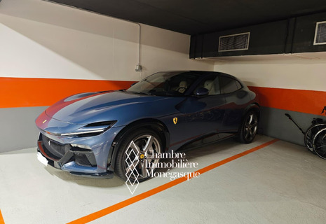 Parking - Prince de Galles