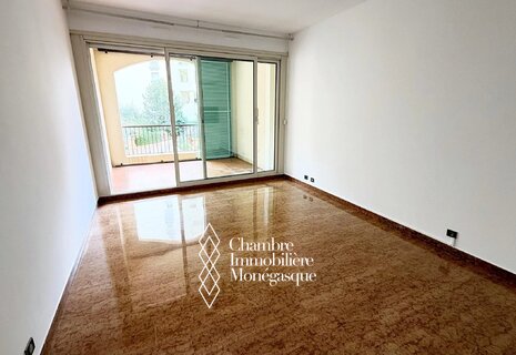 Monaco - Fontvieille- Charming studio with terrace