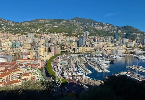 AGENTE UNICO / MONACO CITY / STUDIO SEA VIEW / LEGGE 1235