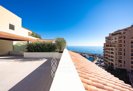 Rare Rooftoop entièrement rénové à Fontvieille