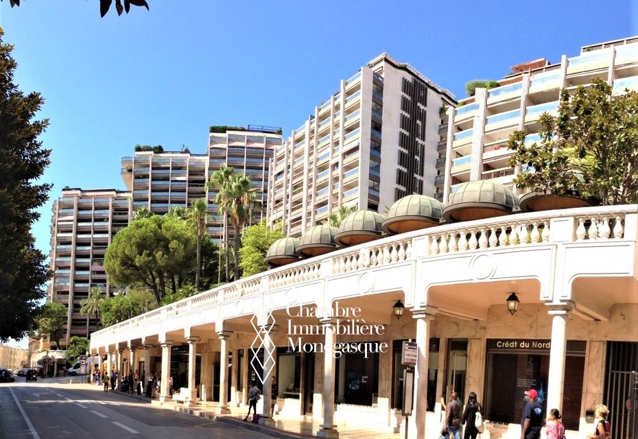 GRAND STUDIO WITH BEAUTIFUL TERRACE - PARK PALACE