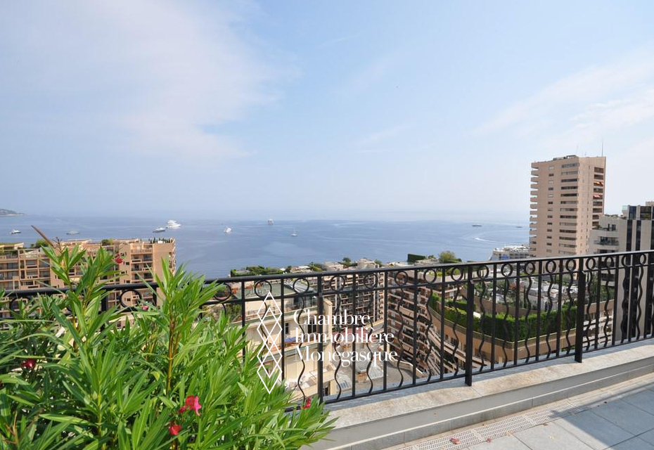 BEAU DUPLEX RÉNOVE AVEC TOIT-TERRASSE