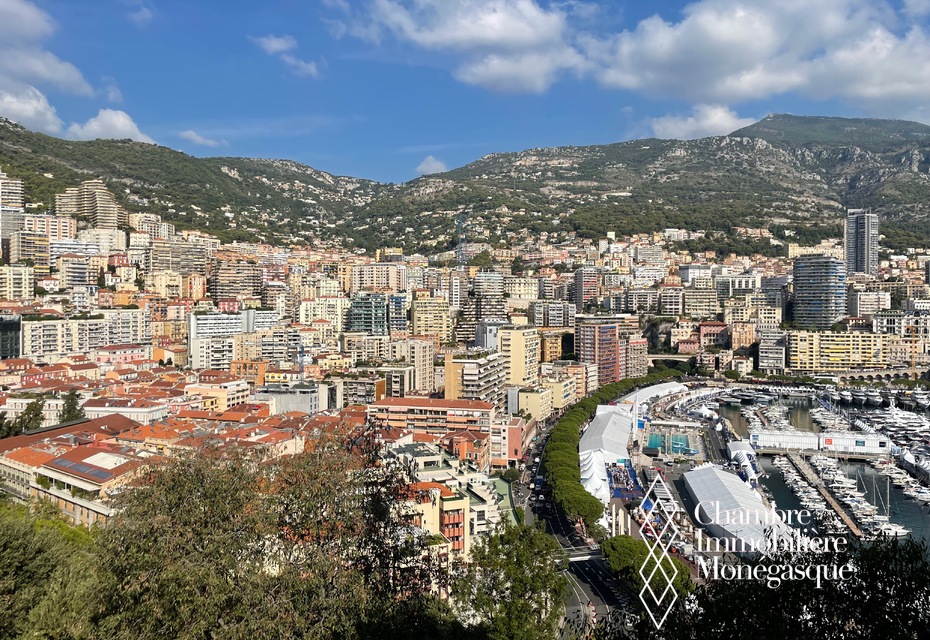 Vue spectaculaire et Unique sur Monaco