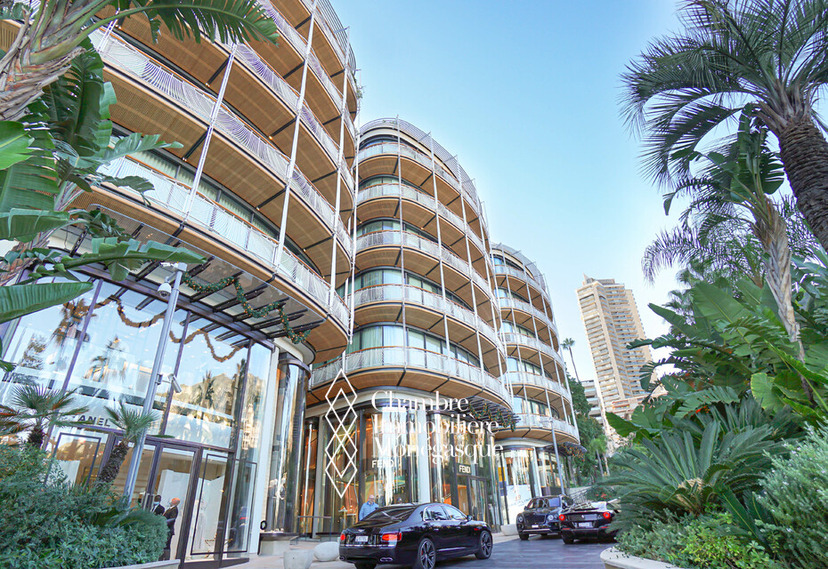 MAGNIFIQUE DUPLEX- ONE MONTE CARLO