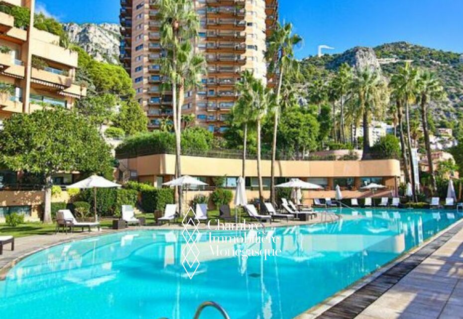 STUDIO PARC SAINT ROMAN