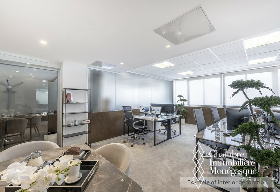 Comfortable independent office in a coworking space in Fontvieille