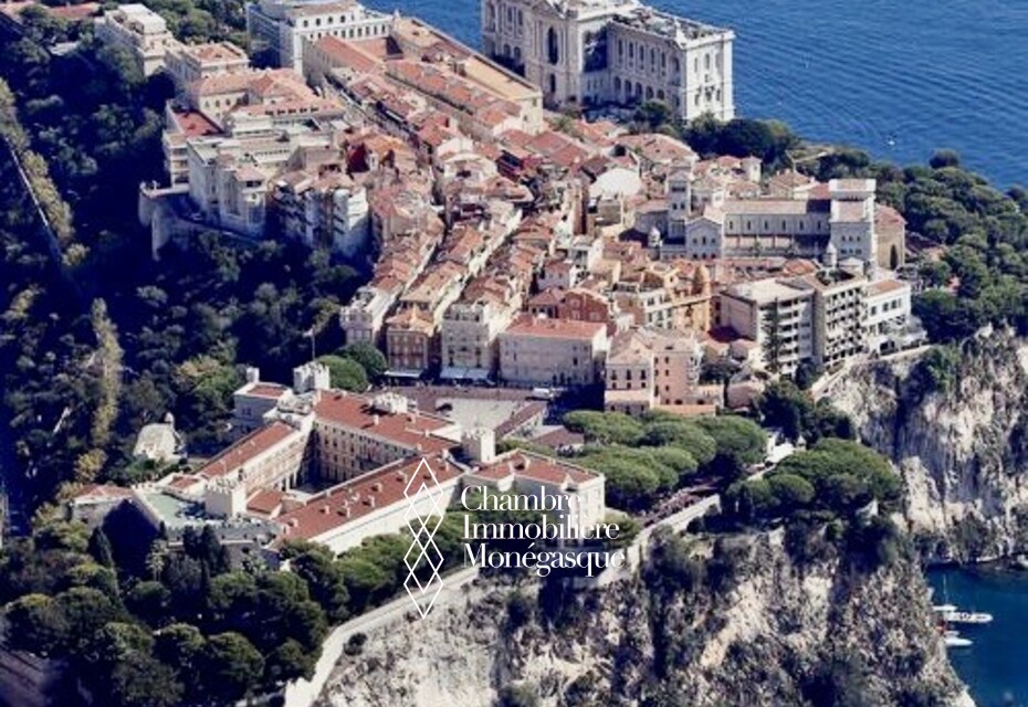PITTORESQUE APPARTEMENT MONACO-VILLE Vue sur Palais et Place de la Mairie