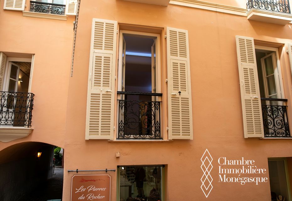 MONACO VILLE - BRIGHT 4 ROOMS COMPLETELY RENOVATED