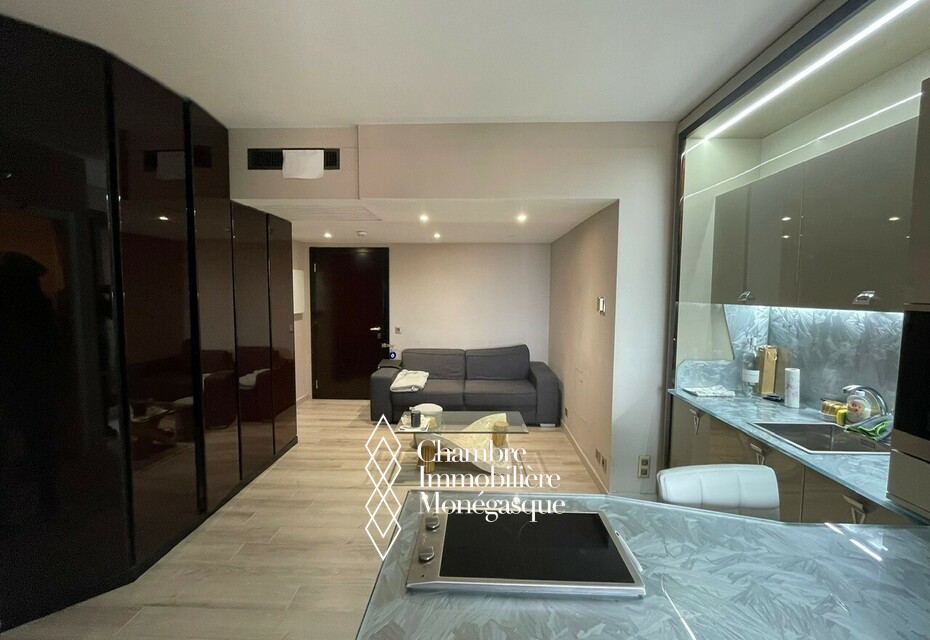 Large studio with sleeping area