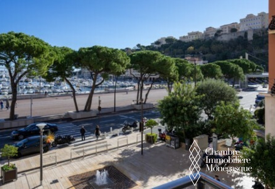 Le Petrel 1 - Monaco - Renovated two bedroom apartment with F1 view