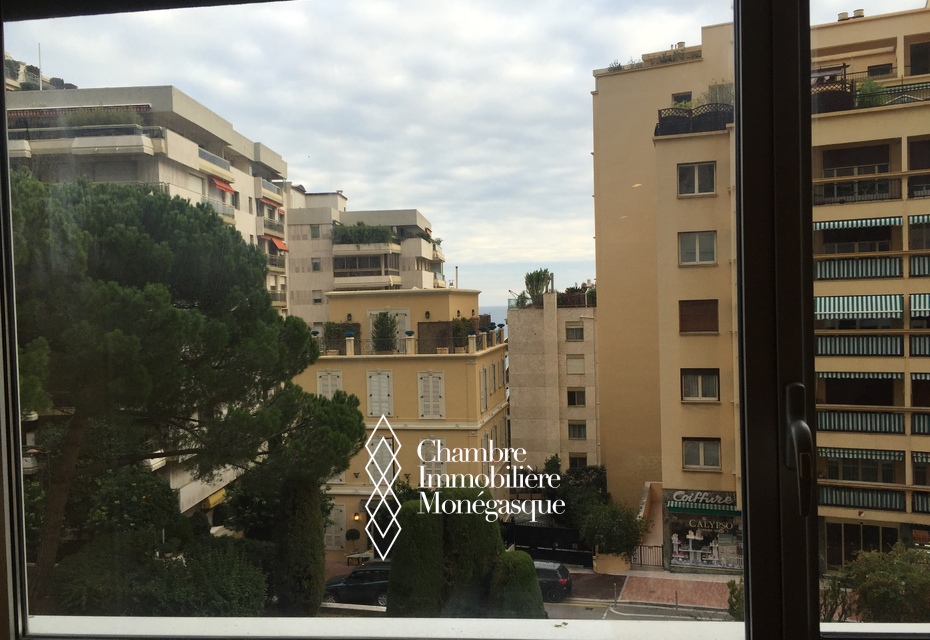 Sole Agent-Mixed-use studio - Near the centre & Larvotto beach