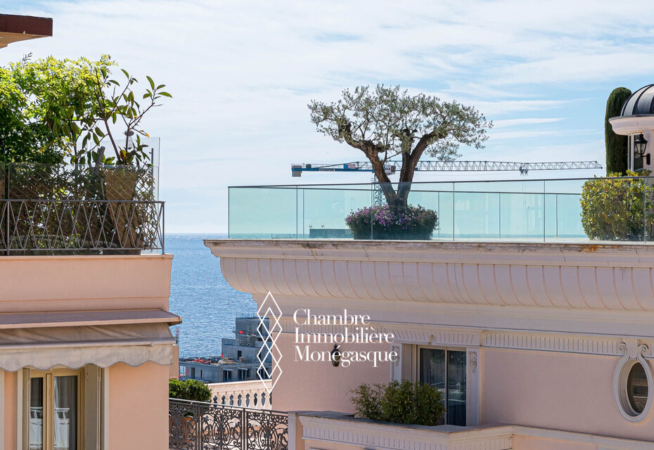 MONTE-CARLO HOUSE