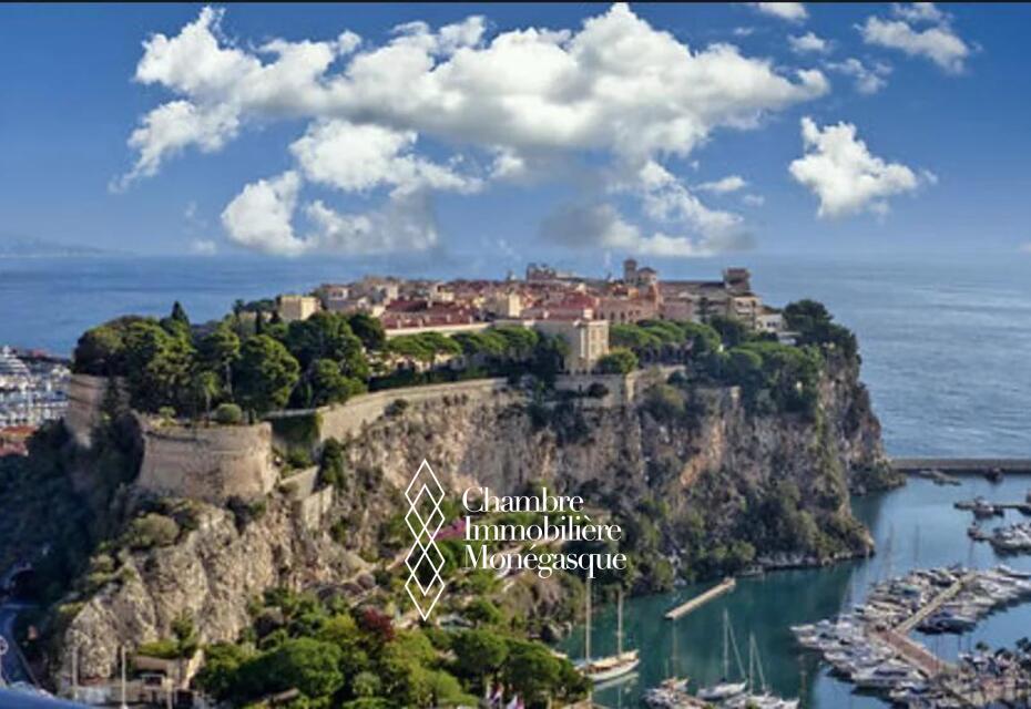 3 PIECES A LA VENTE SOUS LOI 1.235 - MONACO VILLE