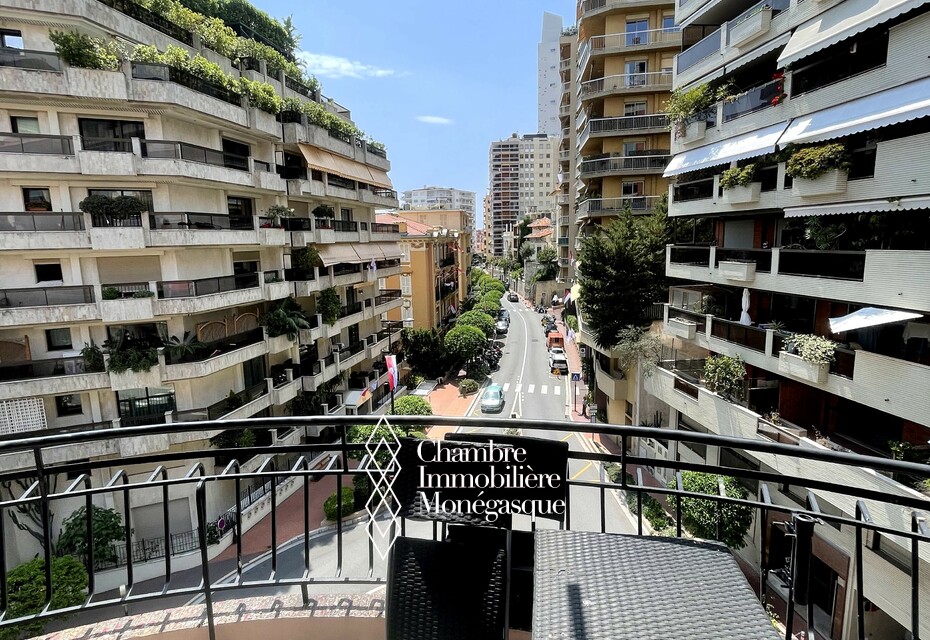 BEAU 2 PIÈCES BD DE BELGIQUE - MEUBLÉ - USAGE MIXTE