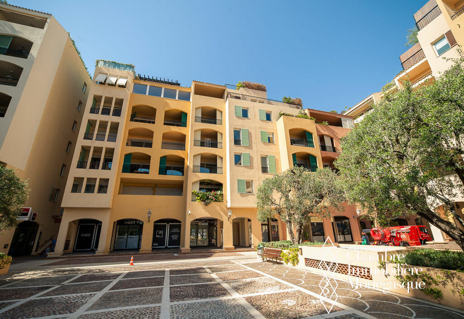 1 bedroom flat on the Port of Fontvieille
