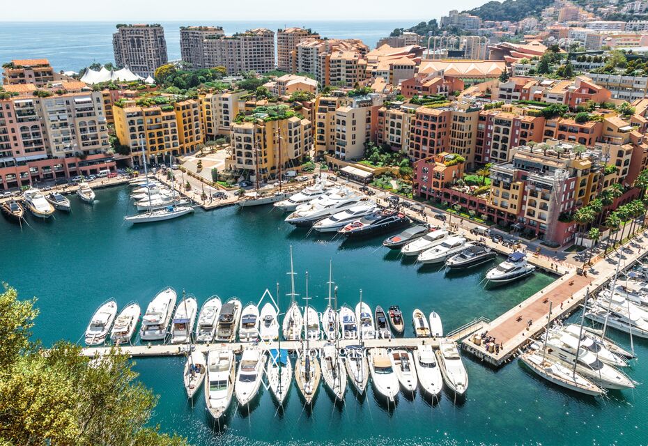BUREAU - FONTVIEILLE - MONACO