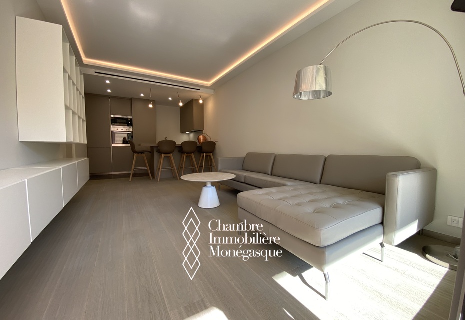 BEL APPARTEMENT DE DEUX PIÈCES | LUMINEUSE, GRANDE TERRASSE, PARKING ET CONCIERGERIE