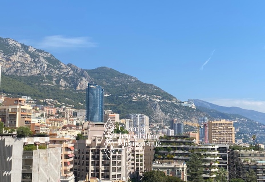 QUINTASSENTIAL 2 BEDROOM APARTMENT - MONTE CARLO