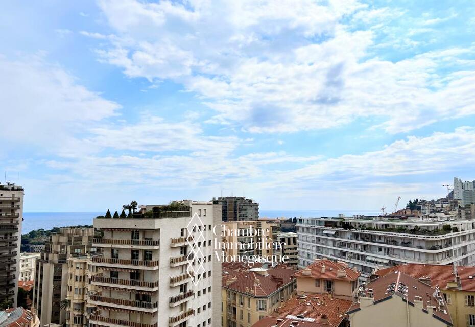 Bright 3 room apartment renovated - Millefiori
