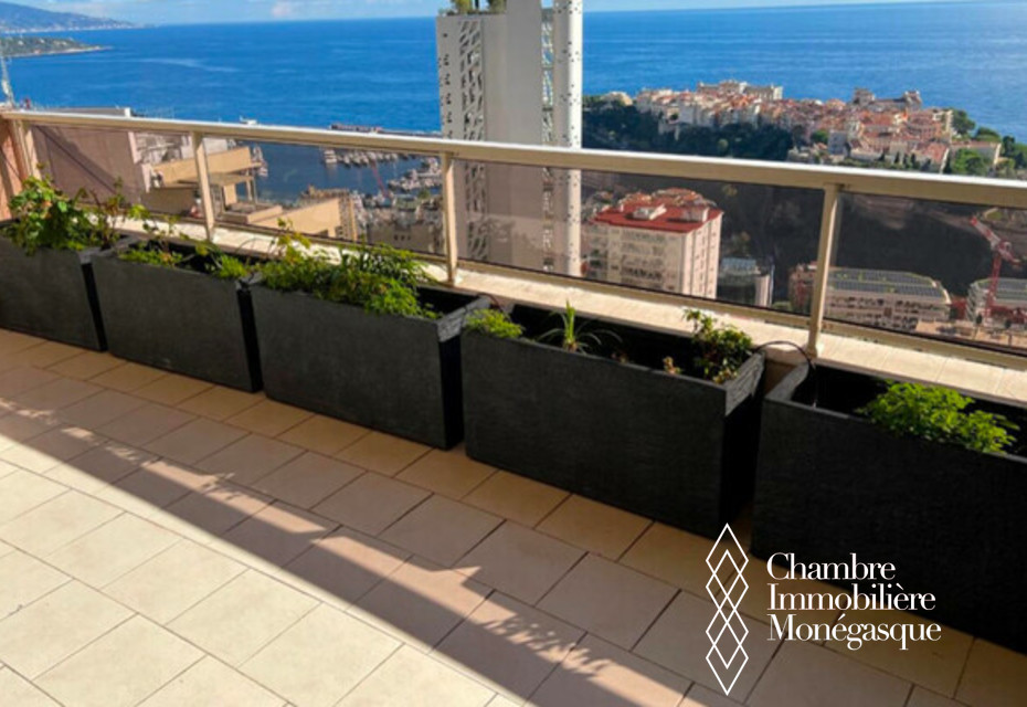 Spacious 5-room apartment overlooking the Principality