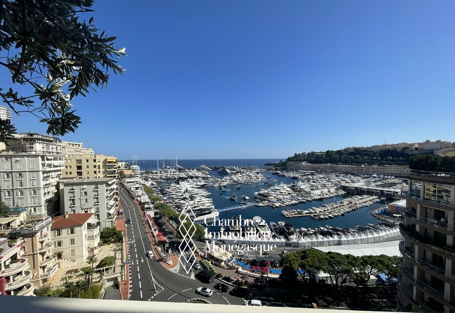 Magnifique appartement sur le Port
