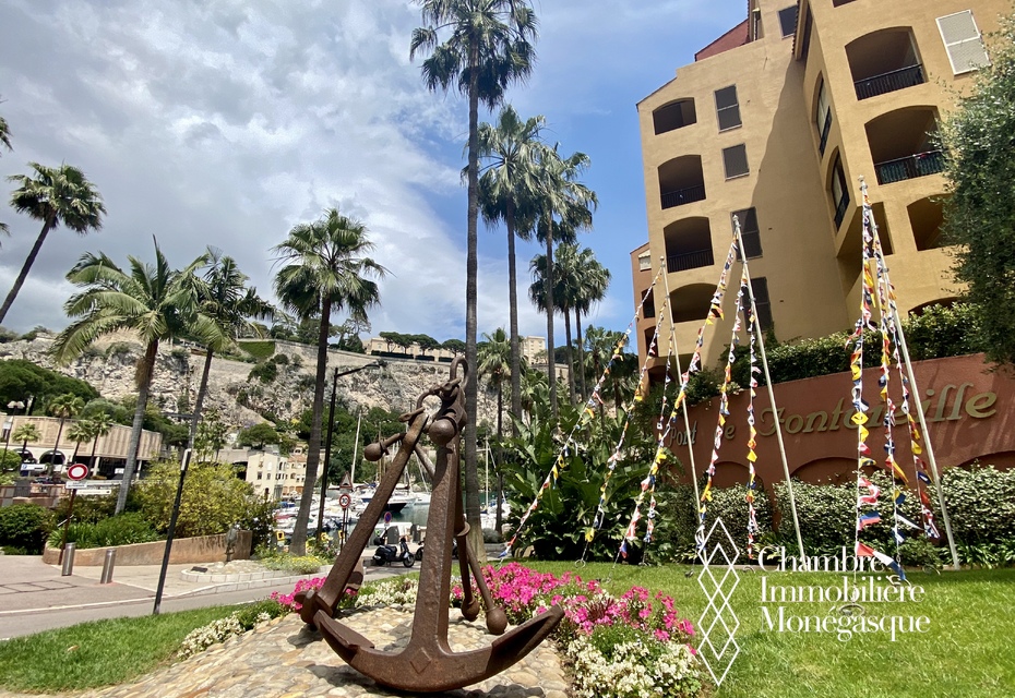 Large office in Fontvieille