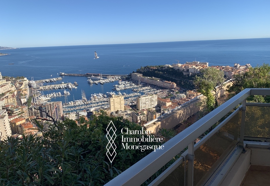 Viager Occupé - Magnifique penthouse 4/5 pièces